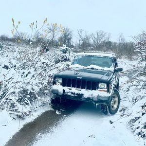 Meet your Posher, Dylan